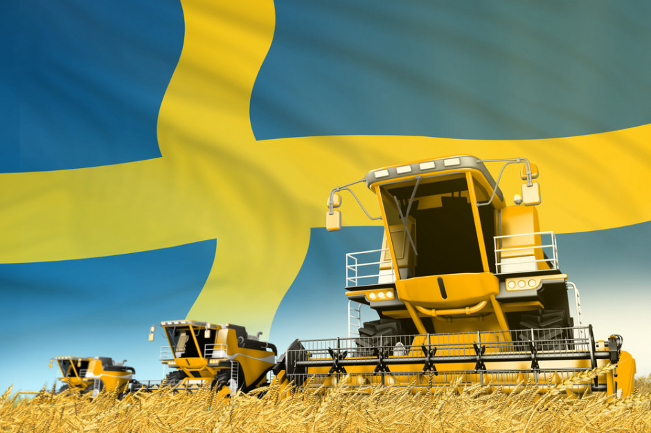 Według najnowszych szacunków urzędu rolnictwa Jordbruksverket szwedzcy rolnicy zebrali w tym roku zaledwie 5,0 mln ton zboża; Fot Shutterstock