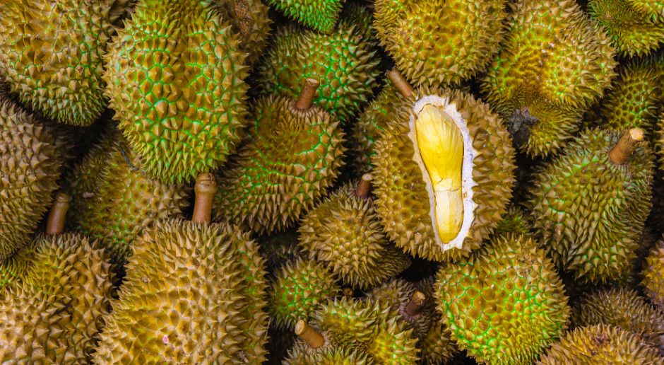 durian, fot. Shutterstock Malezja: w wyniku pandemii zmienia się kultura jedzenia durianów