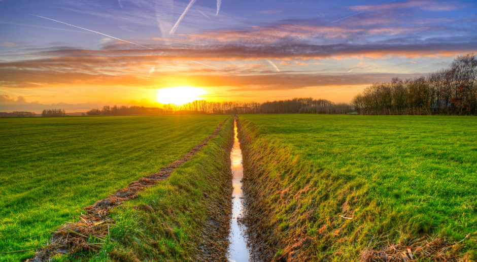 fot. Rudy and Peter Skitterians z Pixabay Rowy trafią do ewidencji