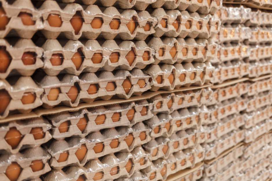 Przedsiębiorstwa zajmujące się przetwórstwem jaj obawiając się dalszego rozprzestrzeniania się wirusa grypy ptaków zwiększyły zamówienia, co wywiera dodatkową presję na ceny. Foto. Shutterstock