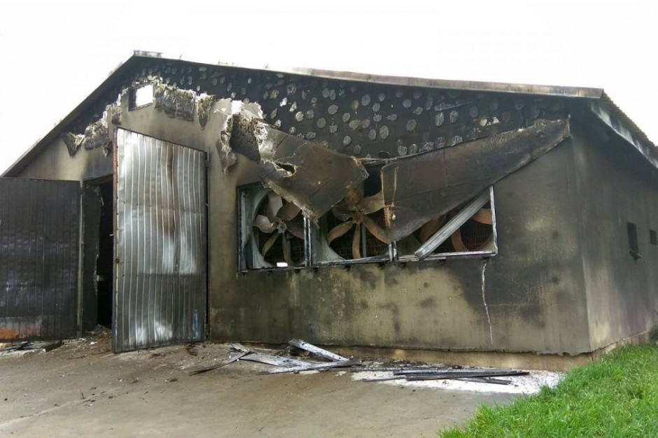 Budynek inwentarski spłonął wraz z kurczakami w środku, fot. Policja
