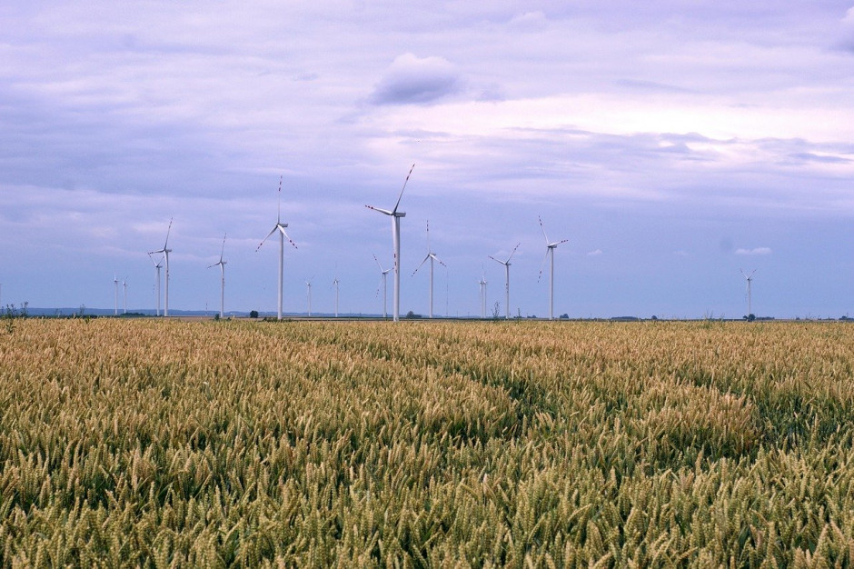 Rolnictwo ekologiczne stanowi już ponad jedną piątą całkowitej powierzchni użytków rolnych w Szwecji; Fot.pixabay.com