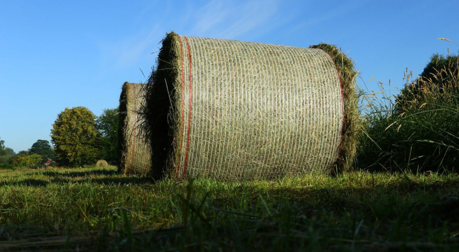 Balot siana śmiertelnie przygniótł rolnika, fot. pixabay Rolnik zginął przygnieciony belą siana