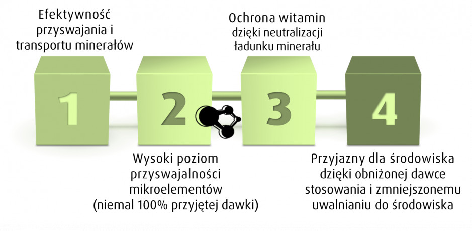 Rys. 3 Zalety stosowania suplementacji mineralnej w postaci chelatów.