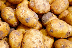 Polskie wczesne ziemniaki prosto z… Rumunii