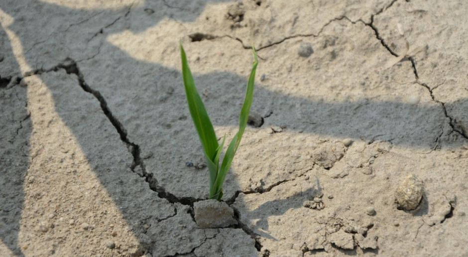 Nadal brakuje wody w glebie w zachodnich częściach Polski