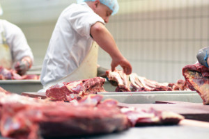 Australia eksportuje mniej wołowiny