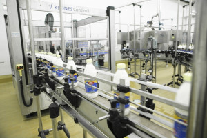 Wzrost cen przetworów mlecznych na GDT