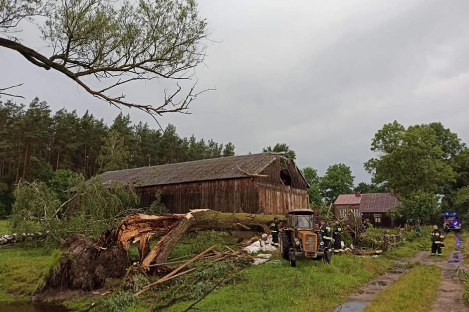 Nawałnica wywróciła wiele drzew wokół gospodarstwa, jedno upadło na stodołę, Foto: OSP Chorzele