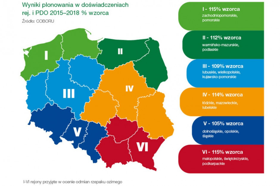 W niektórych regionach kraju wyniki plonowania osiągnęły aż 115% wzorca.Źródło: BASF