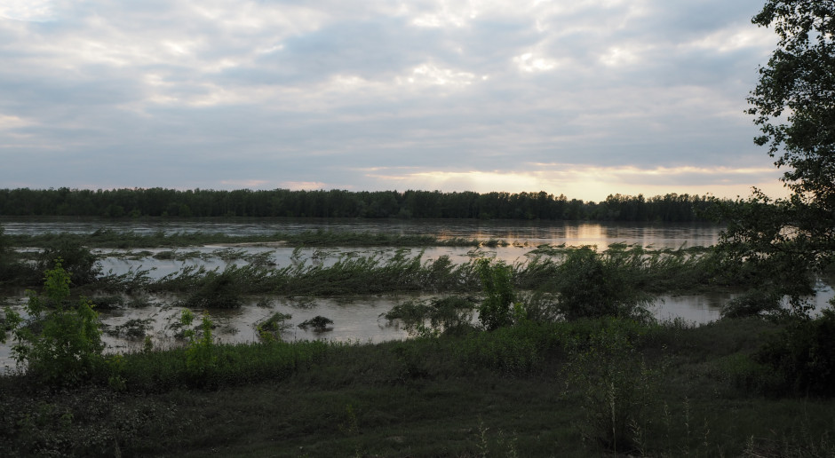 Powiat garwoliński, maj 2019, fot. farmer.pl Lubelskie: Pogotowie przeciwpowodziowe nad Wisłą