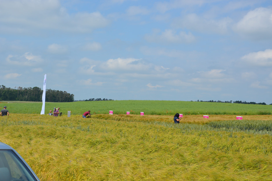 IGP Polska zorganizowało dni pola w Małocinie w gospodarstwie Gwidona Bembnisty, MW.