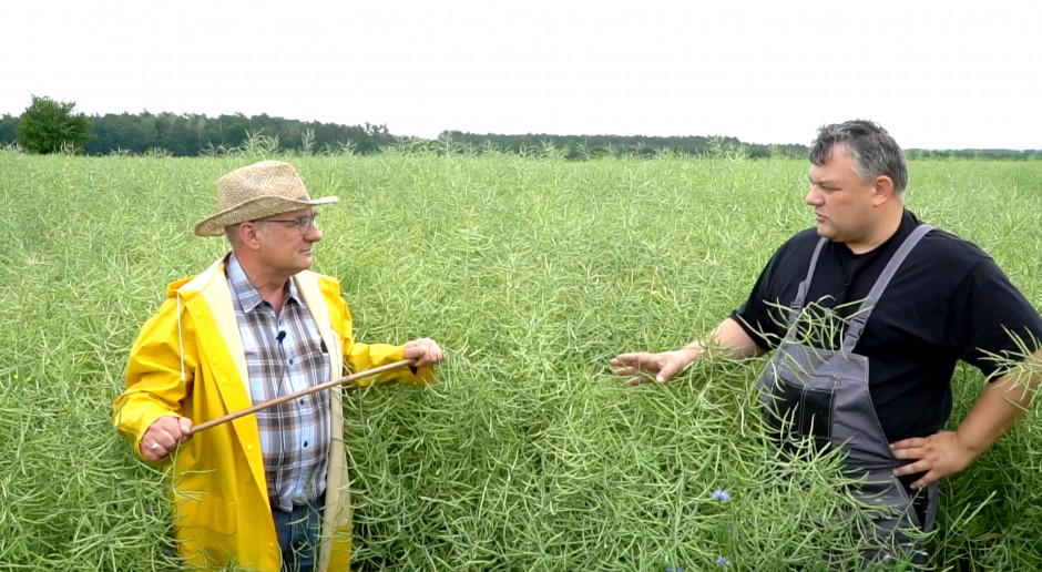 Dni Pola „Farmera” – rzepak ozimy cz. 2