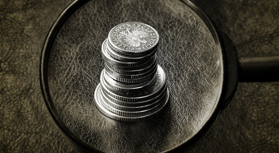 fot. Jerzy Górecki z Pixabay Limit de minimis poza sferą zainteresowania MRiRW?