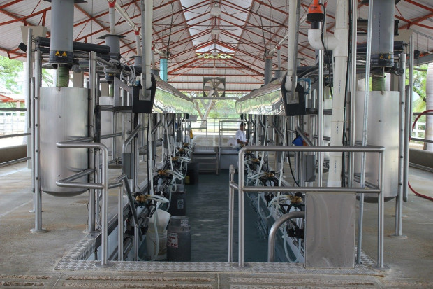 Francja: Ograniczono produkcję mleka w 22 tys. gospodarstw
