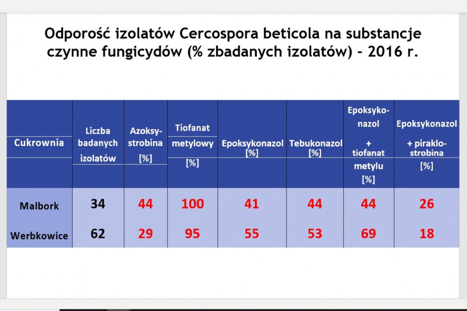 Źródło: Prof. Jacek Piszczek