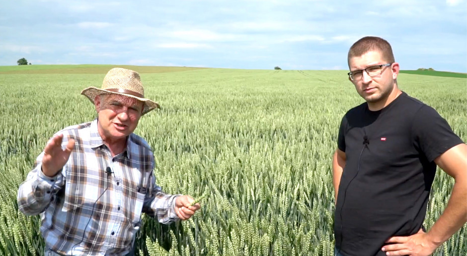 Dzień Pola „Farmera” – pszenica ozima – Piękna Arkadia