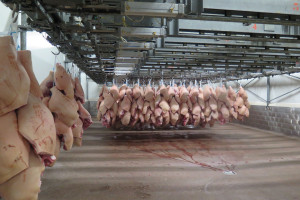 Chiny: Ceny wieprzowiny w punkcie zwrotnym