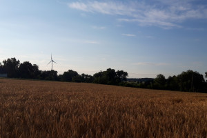 Polska wieś 2020. Raport o stanie wsi - cz. 2