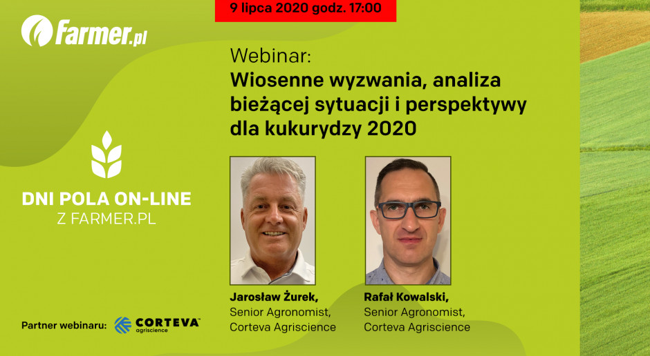 Zapraszamy na nasze kolejne webinarium, które odbędzie się 9 lipca Webinar: Kukurydza opóźniona nawet o dwa tygodnie