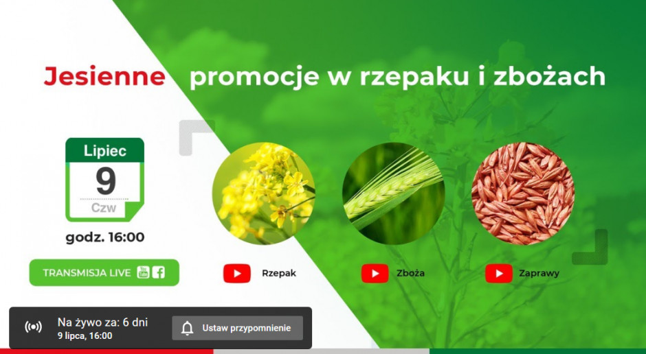 INNVIGO zaprasza i zapowiada jesienne promocje