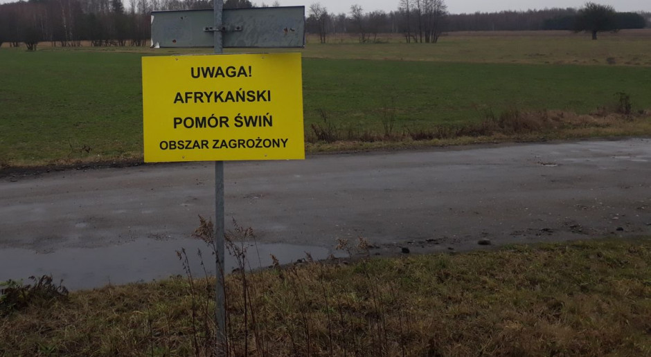 Właściciele chlewni w lubuskim krytykują działania służb weterynaryjnych w zwalczaniu ASF, Foto: AK Lubuscy rolnicy mają dość dyktatu powiatowych inspektorów weterynarii