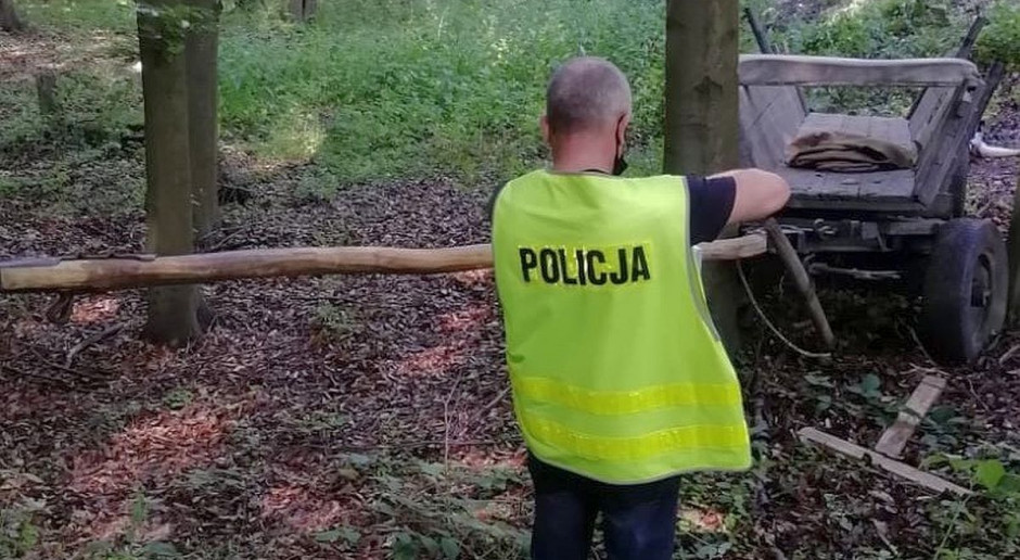 Wóz uderzył w rosnące przy drodze drzewo, woźnica zginął pod pod kołami, fot. Policja Woźnica zginął pod własnym zaprzęgiem