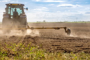 Ekstremalna susza zagraża rolnictwu w USA