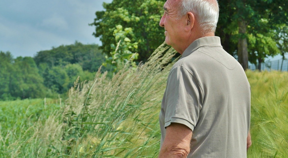 We Francji podwyższona została minimalna emerytura dla rolników kierujących gospodarstwem rolnym; Fot.pixabay.com Francja: Podwyżka minimalnej emerytury dla rolników od 2022 r.