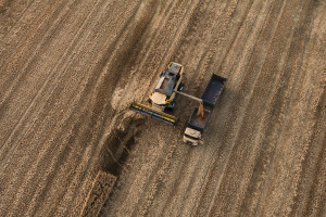 Sonda Farmera: Jakie plony zbierzemy w tym roku? (część 2)