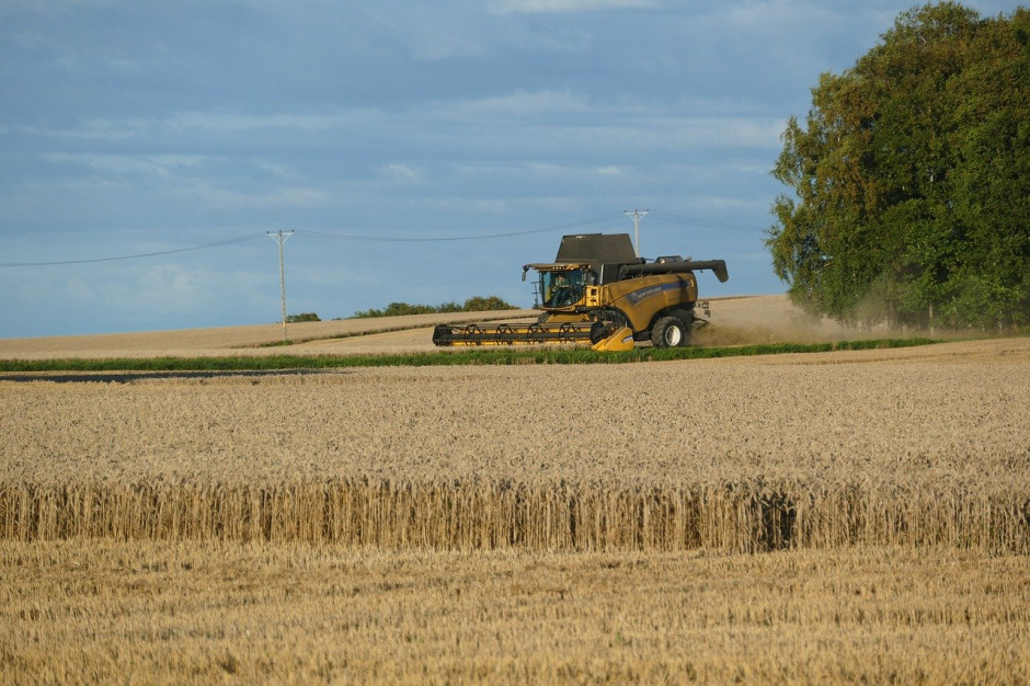 Francuskie ministerstwo rolnictwa niespodziewanie drastycznie obniżyło swoją prognozę zbiorów zbóż; Fot.pixabay.com