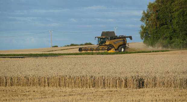 Francja: Niskie prognozy zbiorów zbóż