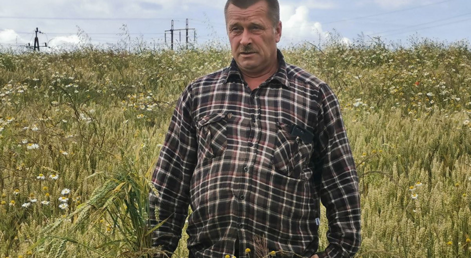 Tadeusz Horn wywiązał się z uprawy zamówionych roślin, ale nasion nie miał kto odebrać, Foto: KH Plony zebrane, ale odbiorcy brak