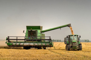 Coraz gorsze prognozy zbiorów zbóż w UE
