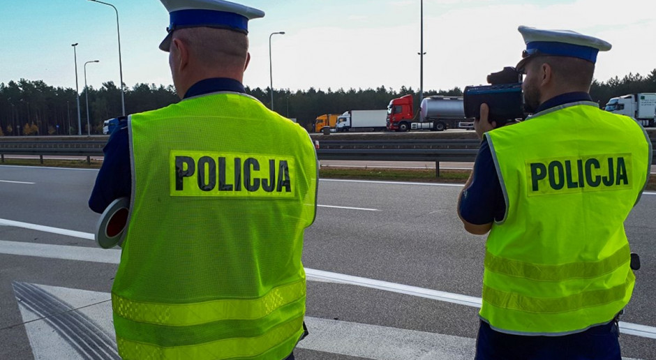 Policjanci w trakcie kontroli radarowej zobaczyli kolizję, Foto: Policja Policjanci ratowali konie z przewróconej przyczepy