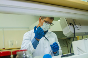 Biolodzy roślin w międzynarodowym projekcie na rzecz klimatu
