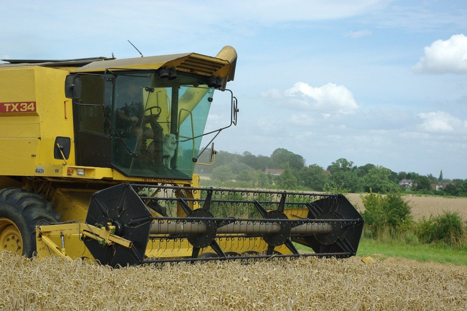 Centrum analityczne RusAgroTrans skorygowało w górę o 0,3 mln ton do 124,4 mln ton, prognozę produkcji zbóż w Rosji w 2020 r.; Fot.pixabay.com