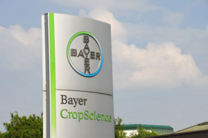 Bayer: nie jesteśmy producentem Spirotetramate 240 SC