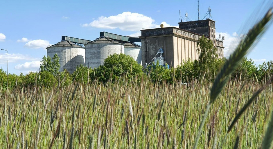 fot. czytelnik Farmera Czy eksport zbóż się opłaca - także rolnikowi?