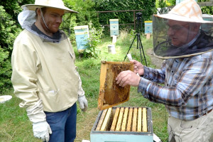 Wszystko o pszczołach  - rozpoczynamy nowy cykl "Farmera"!