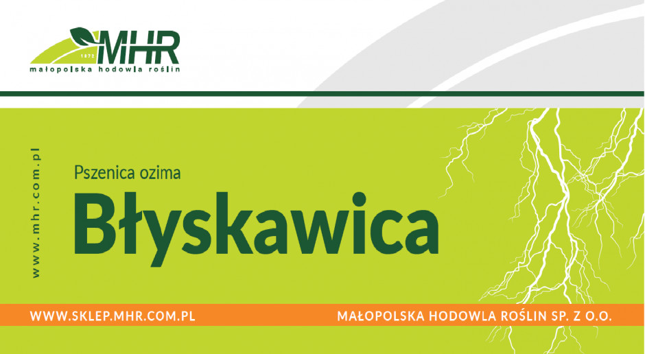 Pszenica ozima