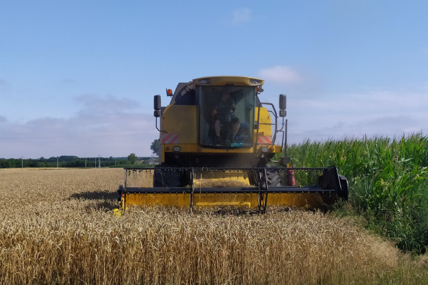 Zbiór zbóż 2020 - jakie ceny za usługę?