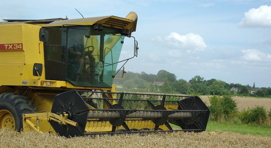 IGC obniżyła prognozę światowej produkcji zbóż ogółem