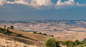 Włochy: grunty rolne tańsze niż dziesięć lat temu