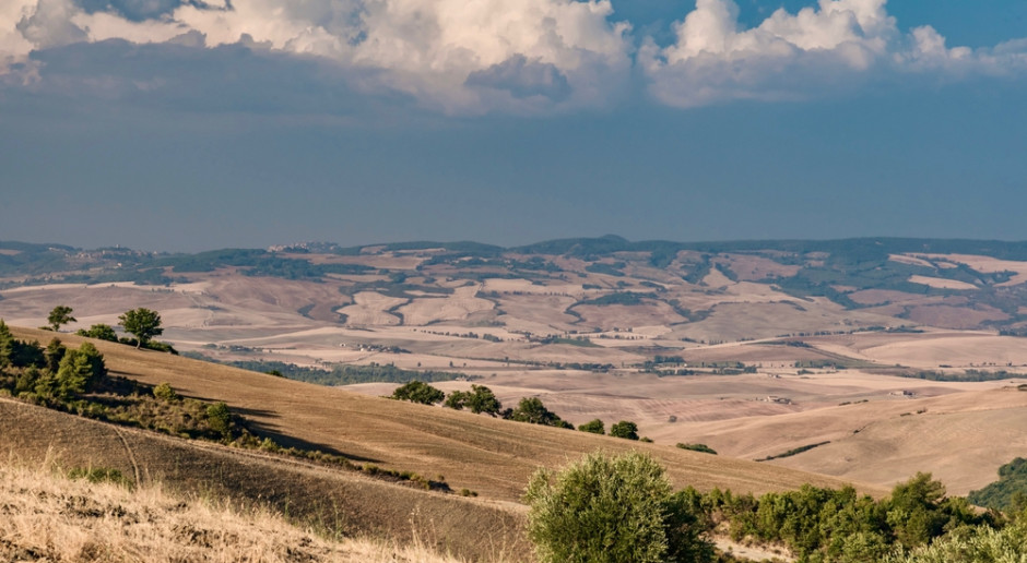 Fot. Shutterstock Włoskie żniwa: upały, susza i gwałtowne burze