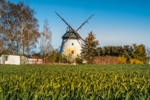 Badanie: wśród 20 najbogatszych polskich gmin 12 jest wiejskich