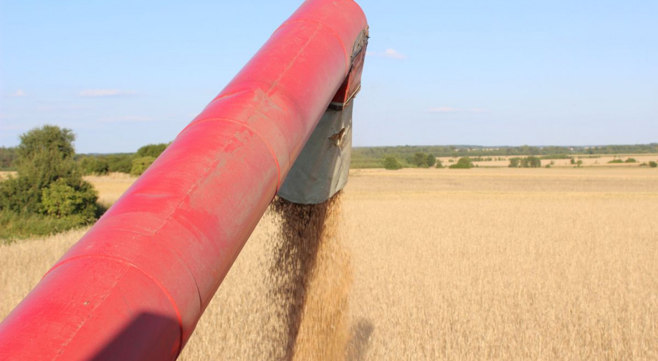 fot. PTWP Ukraiński agroholding z większymi plonami zbóż - nawet o 52 proc.