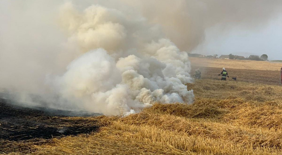 Strażacy coraz częściej walcza z pozarami na polach, Foto: PSP Mogilno Płonęło zboże na pniu, słoma i kombajny