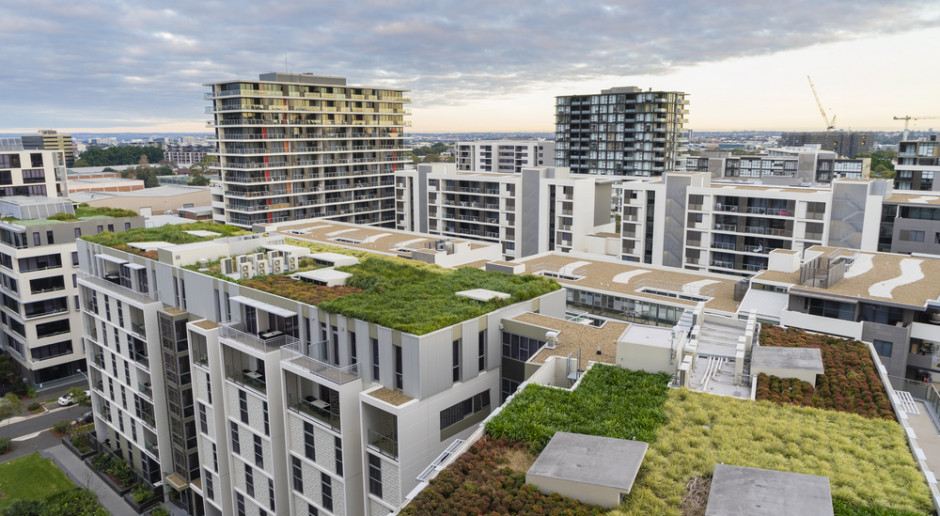 Widok na zielone dachy nowoczesnych budynków mieszkalnych w Sydney, Australia, fot. Shutterstock Eksperymentalne winnice na dachach budynków