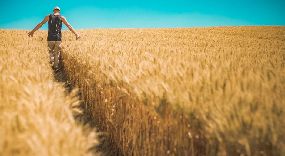 Prawo niejednoznacznie definiuje działalnośc rolniczą w Polsce, Foto: pixabay Rolnik – czasem właściciel gospodarstwa, czasem przedsiębiorstwa